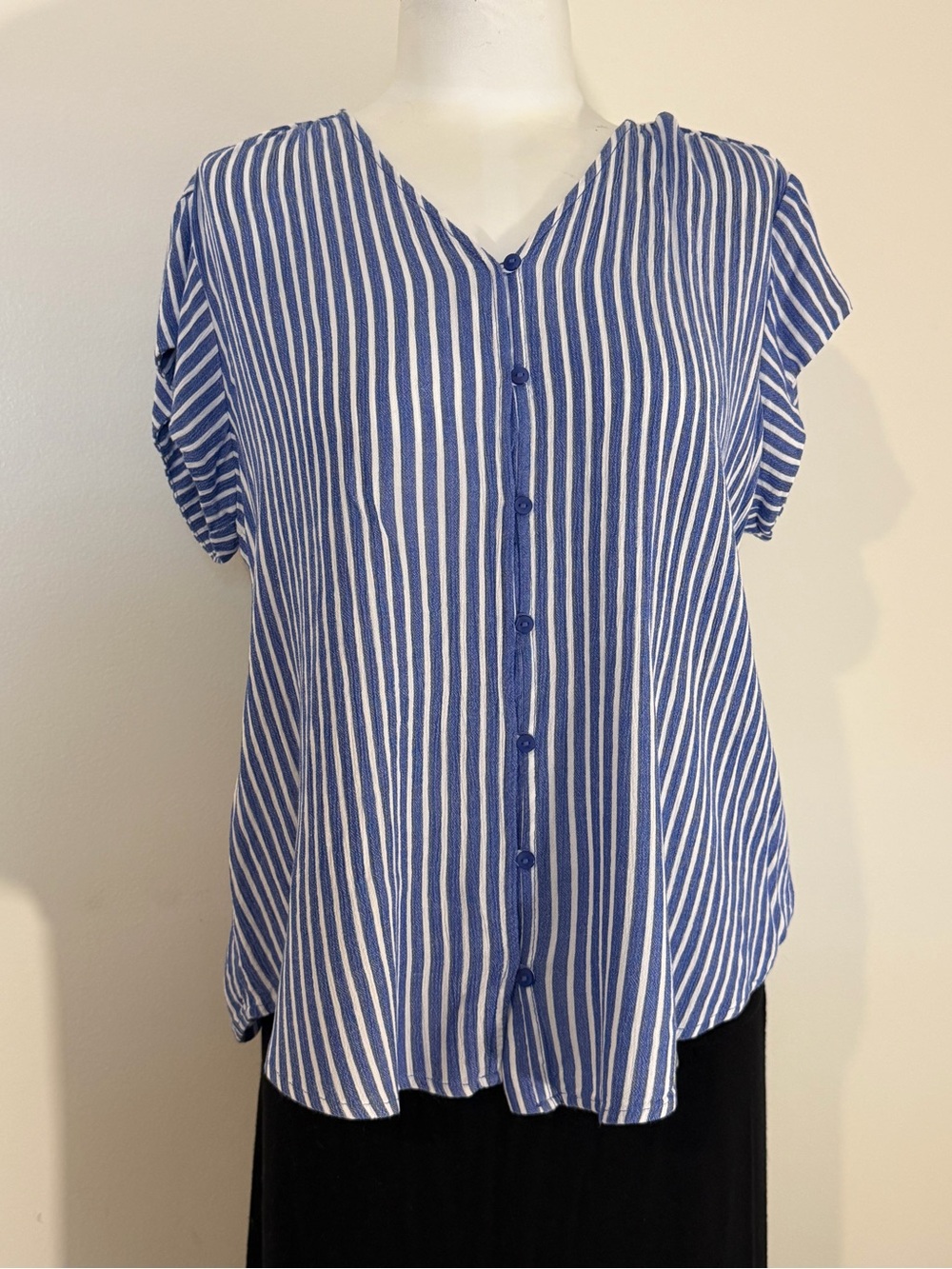 Liz Claiborne Blue and White Vertical Stripe Button-Front Shirt